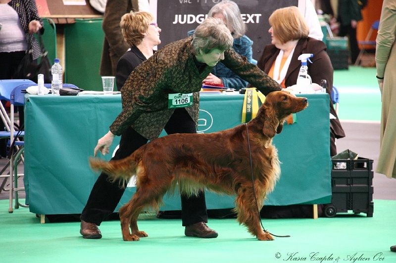 Crufts2011 399.jpg